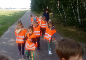 przedszkolaki idą do lasu